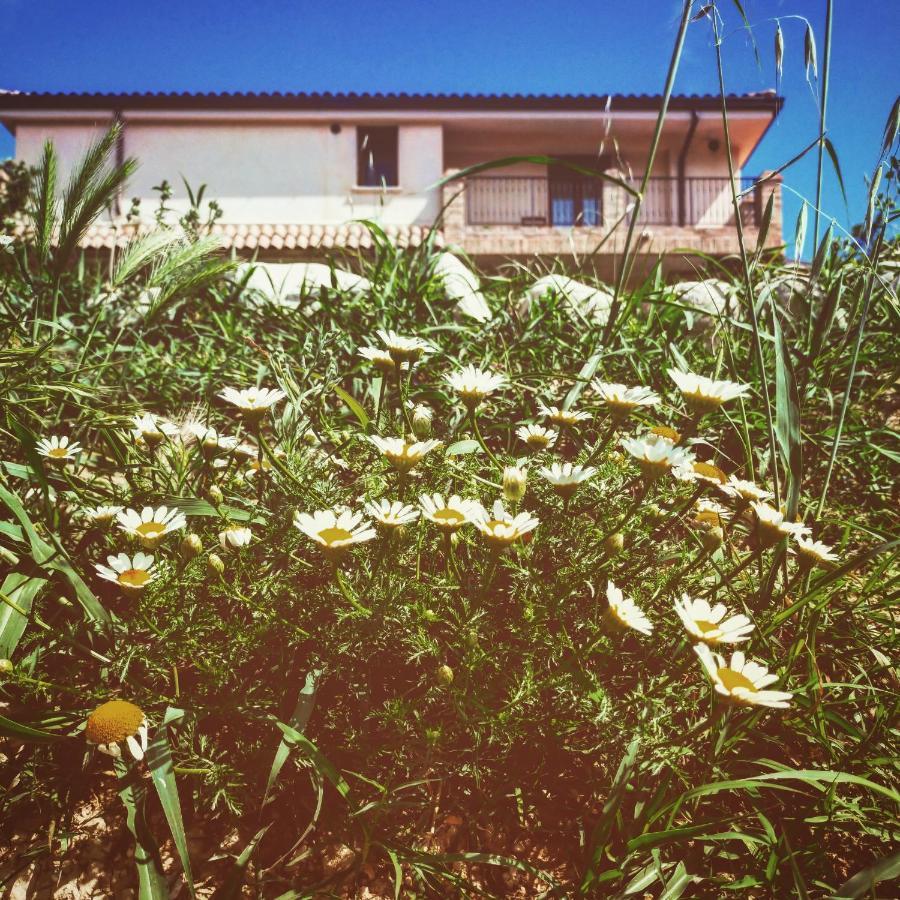 Casale Del Sole Bed & Breakfast Cepagatti Luaran gambar
