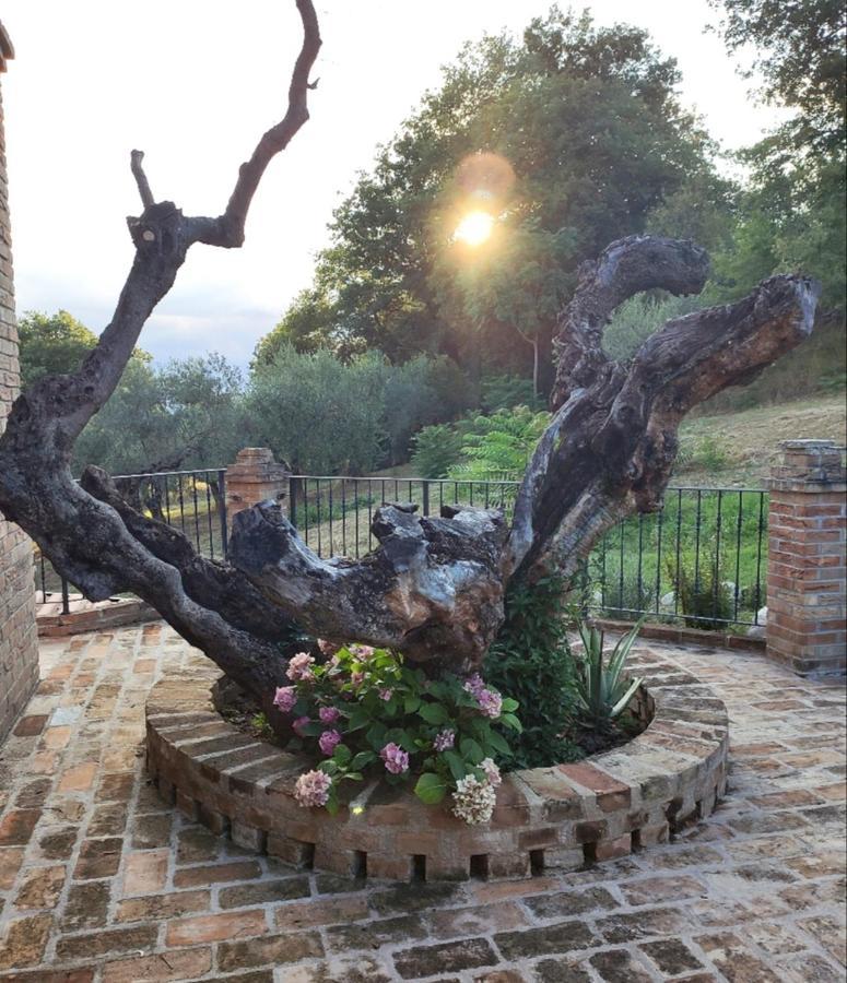 Casale Del Sole Bed & Breakfast Cepagatti Luaran gambar