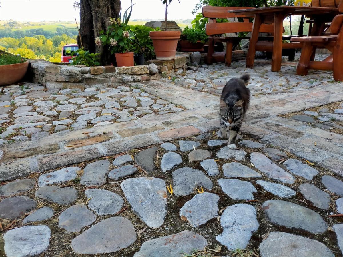Casale Del Sole Bed & Breakfast Cepagatti Luaran gambar