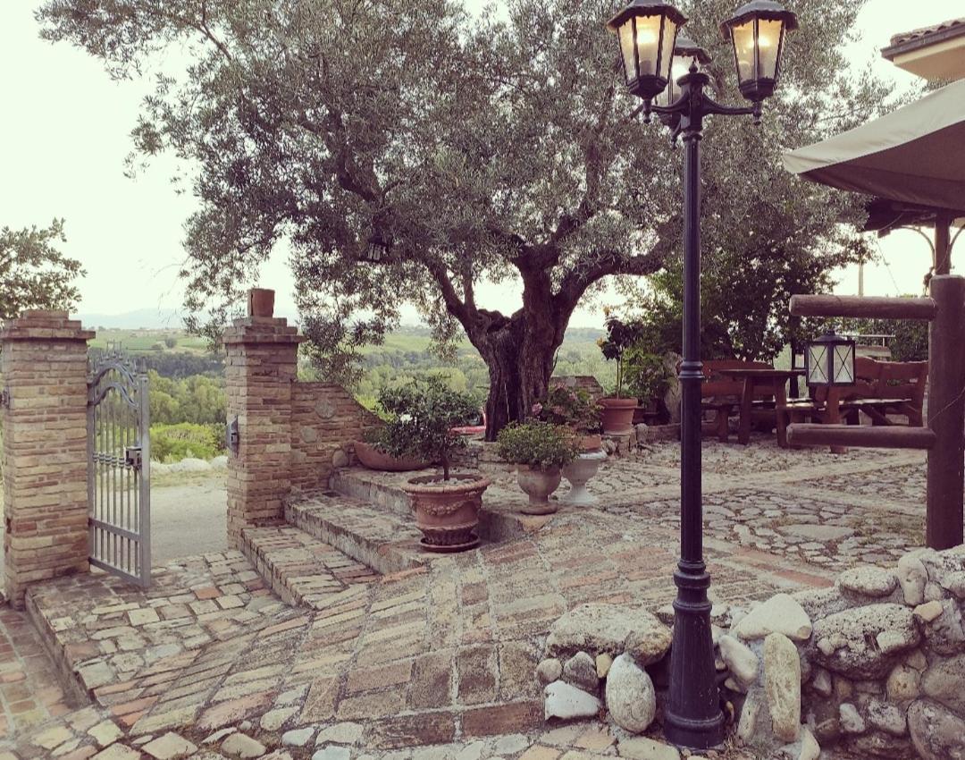 Casale Del Sole Bed & Breakfast Cepagatti Luaran gambar