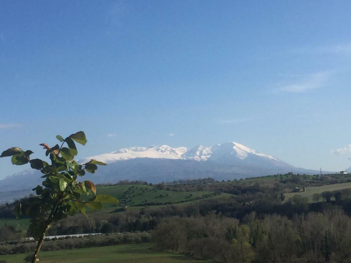 Casale Del Sole Bed & Breakfast Cepagatti Luaran gambar